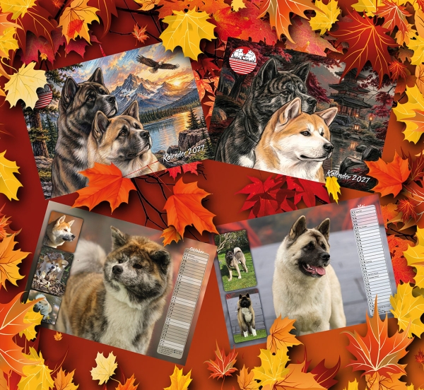 Akita / American Akita Kalender 2027